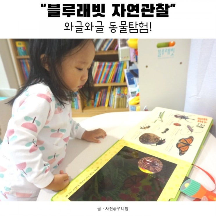  아기책 추천! 블루래빗 자연관찰 스크린북, 와글와글 동물탐험