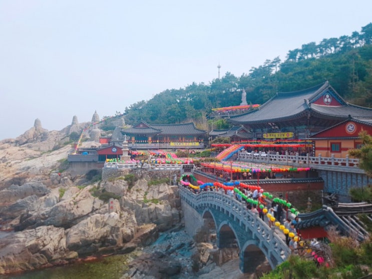  1박2일 부산 여행::1일차(1) / 초량밀면, 해동용궁사