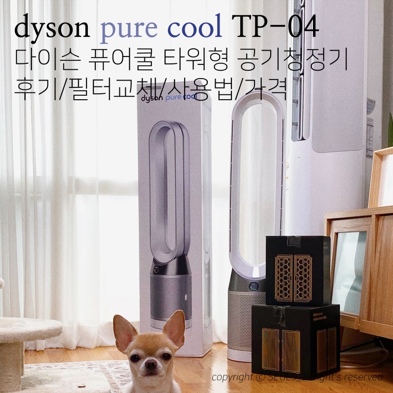 다이슨 퓨어쿨 TP04 공기청정기 타워형 후기 [필터교체/사용법/가격]
