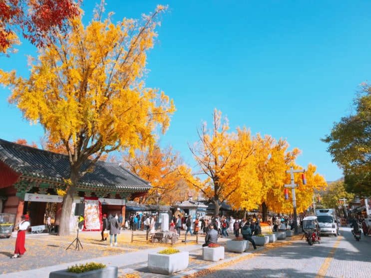  [쩡이의 주말일상] 가을 전주여행