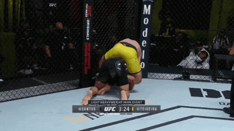 UFC 베가스 13: 산토스 vs 테세이라 리뷰(GIF): 때로는 매에 장사 있다