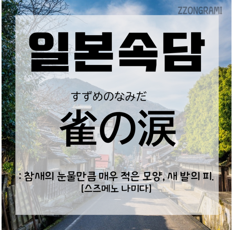  [일본어 공부] 일본 속담 : '참새의 눈물'이라는 귀여운 속담, 무슨 뜻일까?