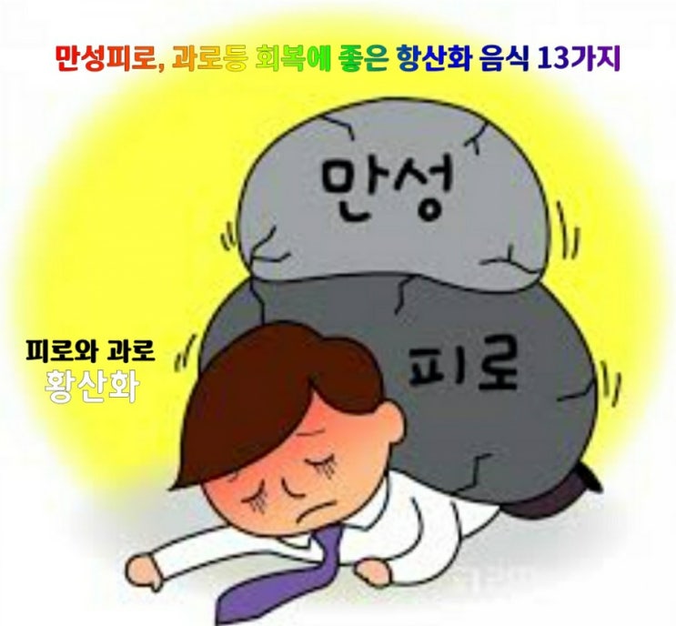 만성피로, 과로등 회복에 좋은 항산화 음식 13가지