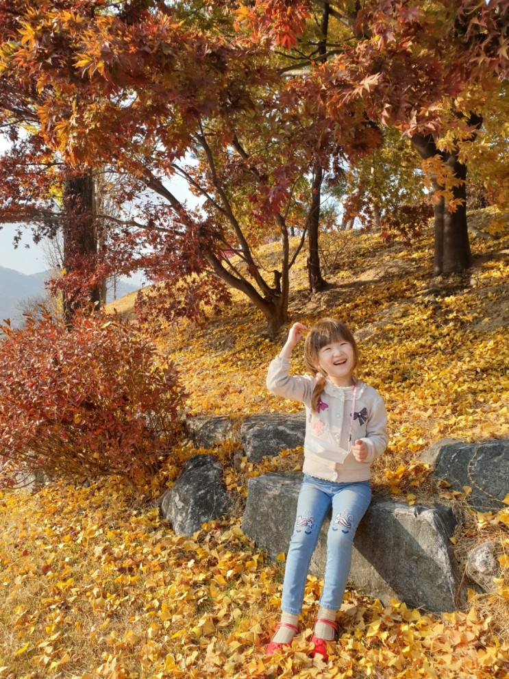 설봉공원에서 가을 단풍 구경