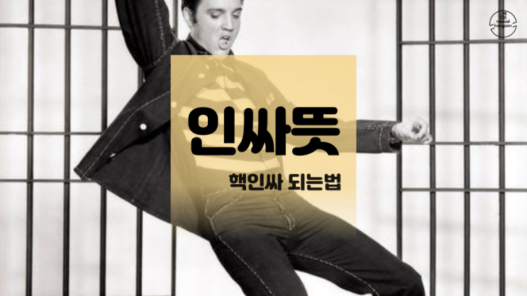  아싸말고 인싸뜻 핵인싸 되는법 간단해요