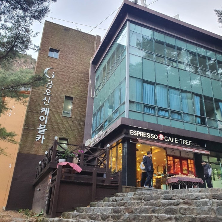  구미금오산 단풍보러 케이블카 타고 다녀왔어요