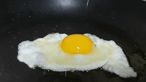 푸른색 달걀(청란/청계란)이라고?! 특징, 효능, 먹는 법