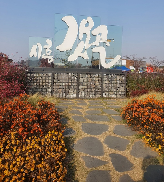 시흥 갯골생태공원 가을 나들이(갈대, 핑크뮬리, 흔들전망대)