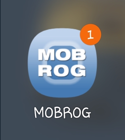  [내 멋대로 부업] 외화벌이 2탄!! MOBROG 설문조사 앱테크. 설문조사로 외화를 벌어보자!!