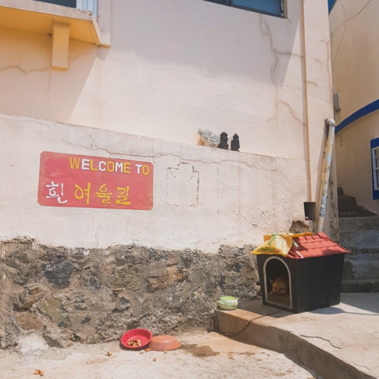  1박2일 부산 여행::2일차 / 흰여울 문화마을, 부산역 비엔씨