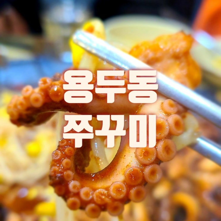  용두동 쭈꾸미 맛집 아직까지 못 찾으셨으면 특화거리 골목으로 오세요