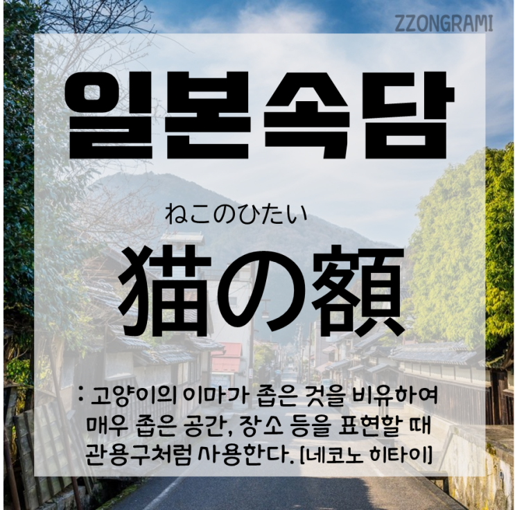  [일본어 공부] 일본 속담 : 고양이 이마가 어때서?!, '고양이의 이마'라는 속담.