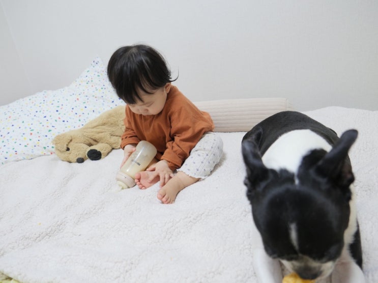  돌아기 다윤이 12개월 첫우유는 상하목장 멸균우유로 시작했어요