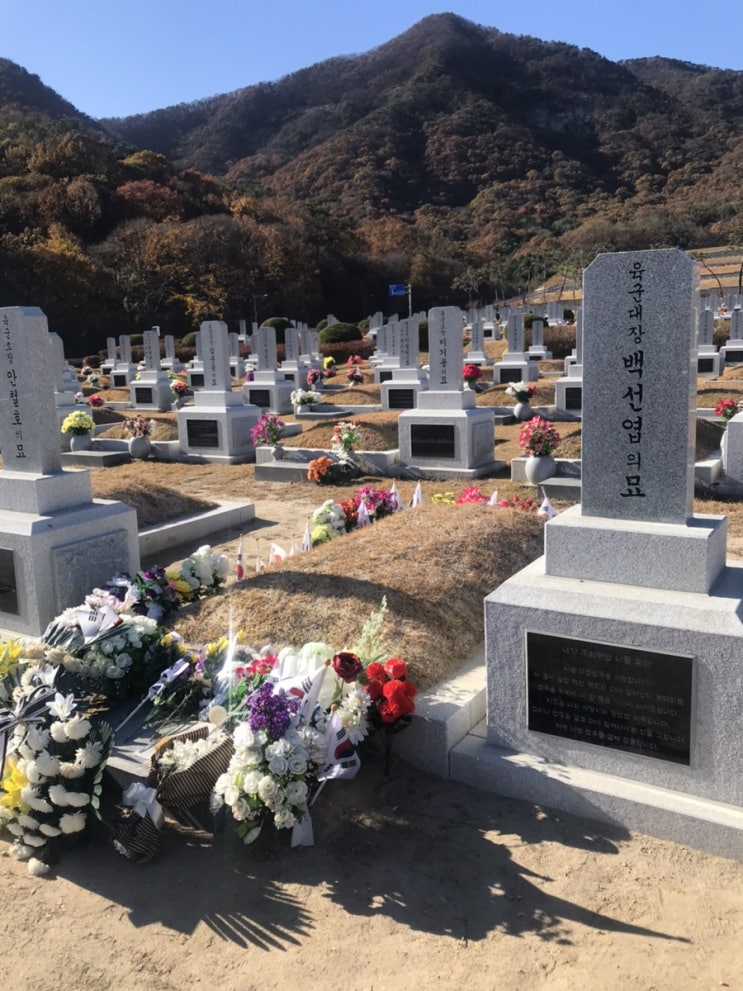 삼형제, 6.25전쟁영웅 백선엽 장군님을 뵙다. 삼형제, 6.25전쟁영웅 백선엽 장군님을 뵙다.