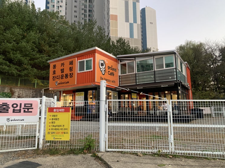  [대전 애견카페 추천] 대전 목동 몽그라운드 강아지 카페 갔다 왔어요 