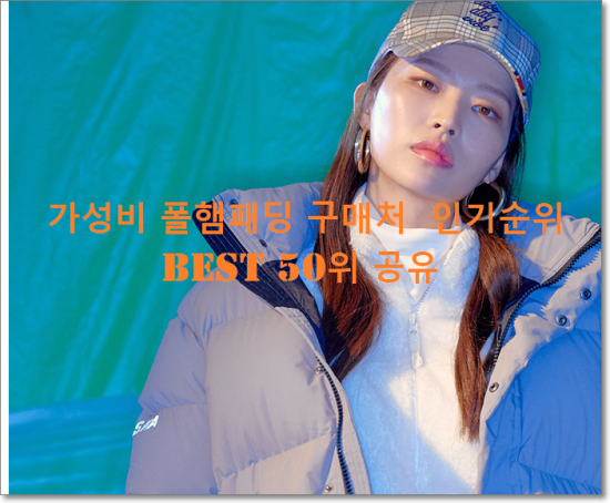   가성비 폴햄패딩 구매처  인기순위 BEST 50위 공유