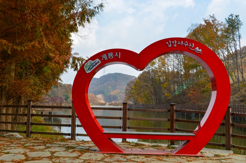 가을 풍경 여행] 대전 주변 가볼 만한 곳, 입암저수지 이국적인 가을 단풍 : 네이버 블로그