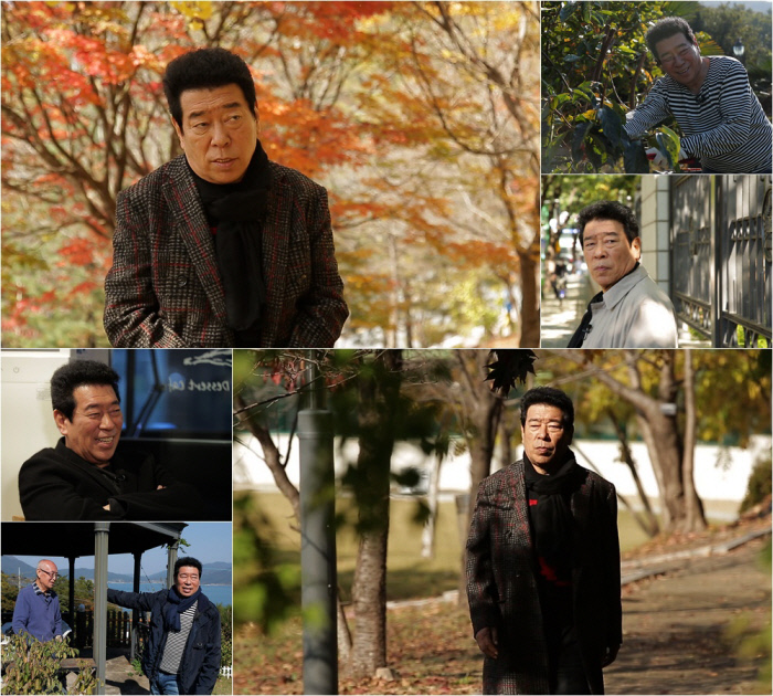 스타다큐 마이웨이 김동현 나이 혜은이 이혼사유 금보라 박병호 스타다큐 마이웨이 김동현 나이 혜은이 이혼사유 금보라 박병호