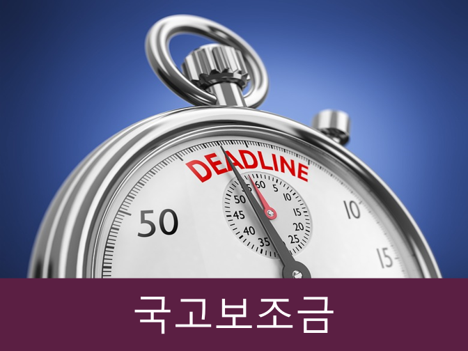  국고보조금 용도에 맞게 쓰지 않으면 벌금 1000만 원!!
