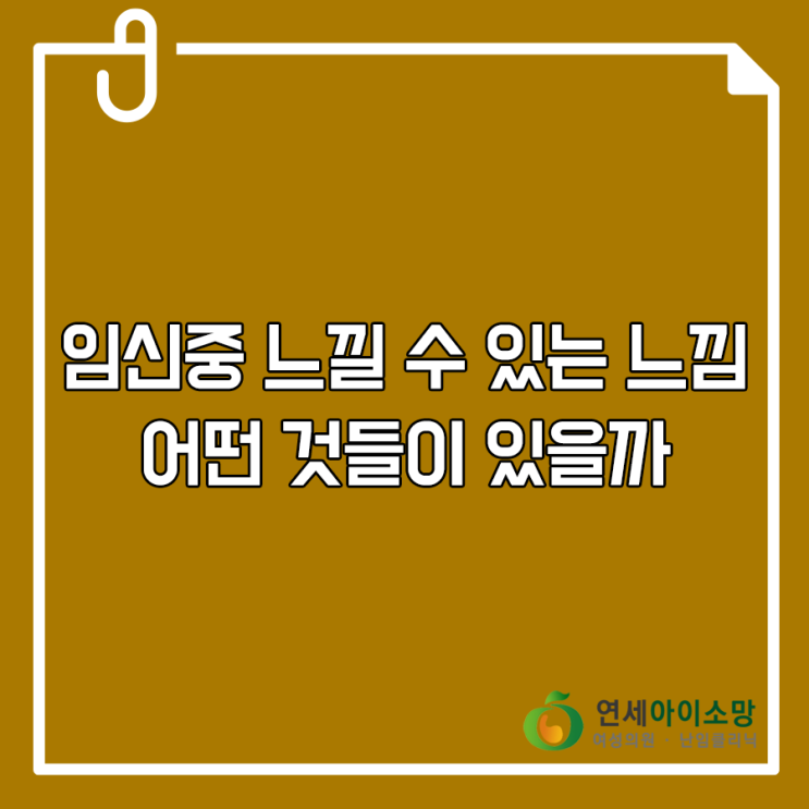  임신중 느낄 수 있는 느낌에는 어떤 것들이 있을까