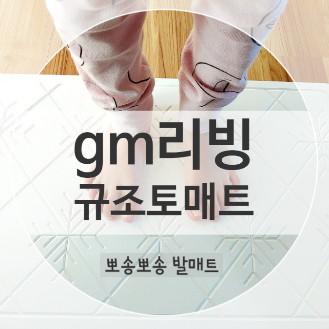 세균 항균 탈취 흡수 똑똑한 규조토발매트 gm리빙 세균 항균 탈취 흡수 똑똑한 규조토발매트 gm리빙