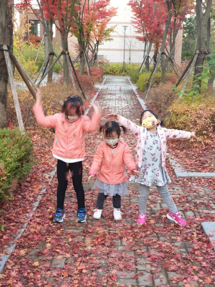  낙엽 날리기