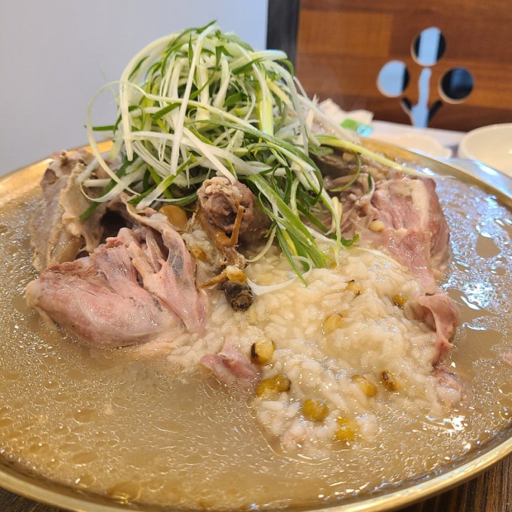  진주성 근처 맛집 오리백숙 산골애
