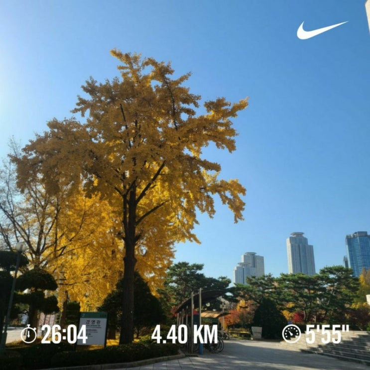 열심히살기 +15