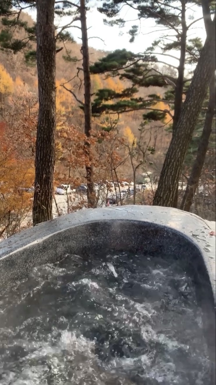 제천 리솜포레스트
