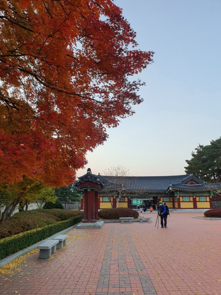  1박2일 강릉여행 : 순두부 젤라또 2호점  + 오죽헌 + 삼교리 동치미막국수 남항진점