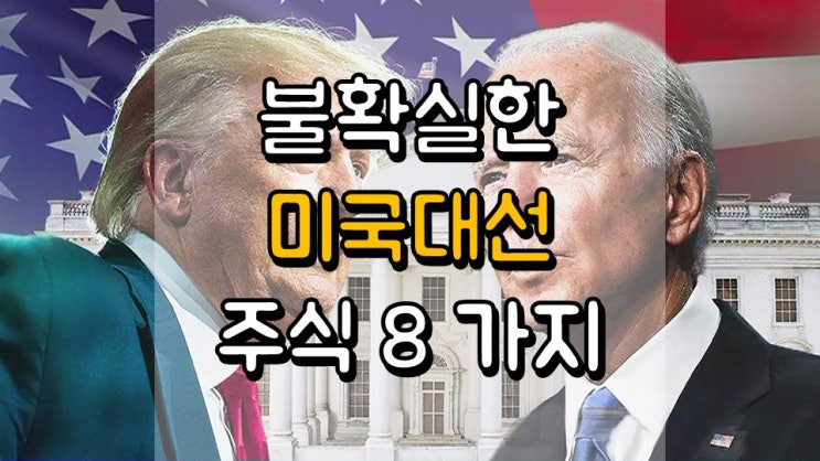 불확실한 미국 대선을 위한 주식 8 가지 - TSLX, MAIN, VNOM, NEE, MSFT, MPW, BTZ, NZF