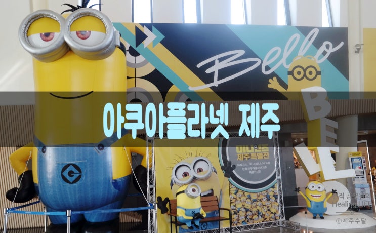  [제주아쿠아플라넷 총정리] 미니언즈 , 푸드코트 공연까지!