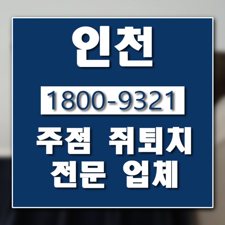  인천 서구청 쥐 퇴치 업체 버그헌터119입니다.