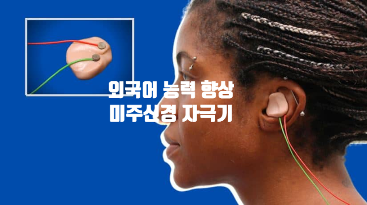 외국어 학습 능력 개선 귀 자극 효과 외국어 학습 능력 개선 귀 자극 효과