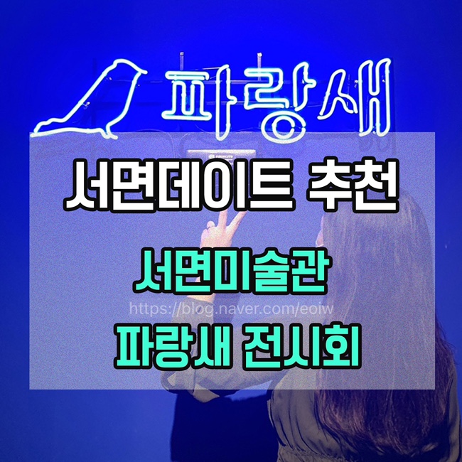  [서면데이트]서면미술관 파랑새전시회 포토존 추천