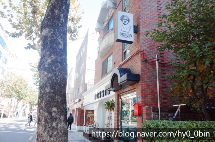  죽은 머리도 살려주는 성신여대 미용실 데생헤어