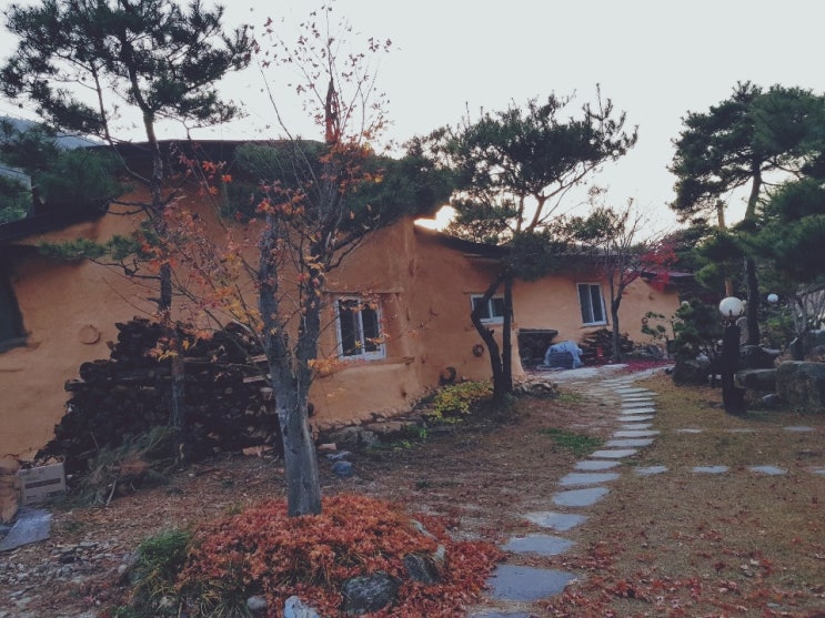 <여행> 괴산 별이 빛나는 밤에