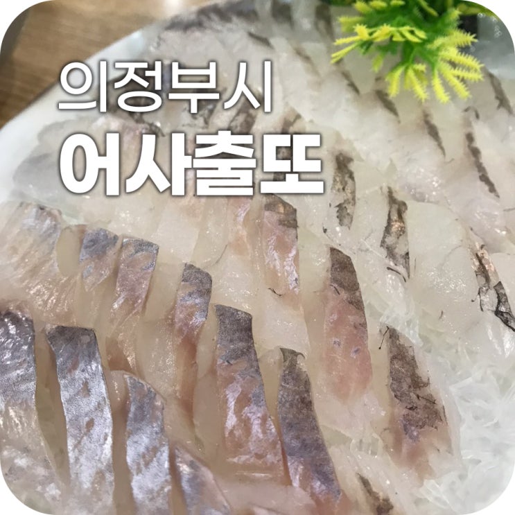 의정부 횟집 어사출또 ｜ 가성비 좋은 저렴 횟집 추천