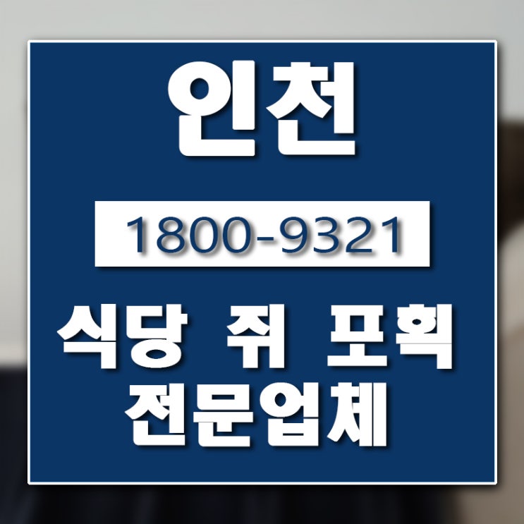  부평구 쥐 퇴치 업체 버그헌터119입니다.