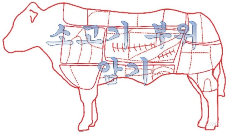 소고기 먹기 전에 알면 쓸데 있는 소고기 부위 1탄 : 목심, 등심, 채끝, 안심, 우둔