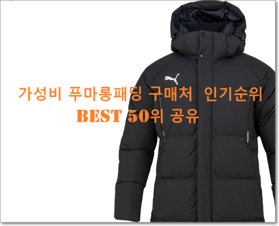   가성비 푸마롱패딩 구매처  인기순위 BEST 50위 공유
