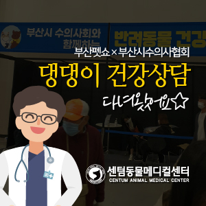  문종현 대표원장, 2020 부산펫쇼×부산시수의사협회 댕댕이 건강상담 다녀왔어요