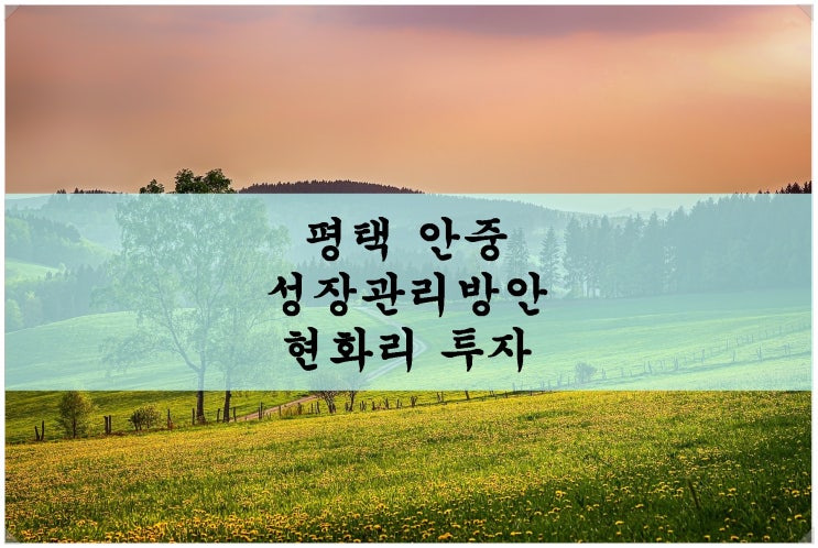  <평택땅 투자>서평택 안중 개발 다음 타자는? / 성장관리방안 수립 현화리 추천!
