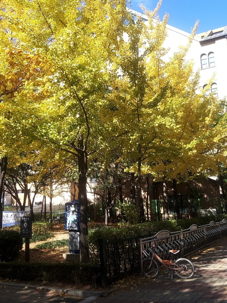  겨울철 건강관리엔 필라테스(상동 필라테스)