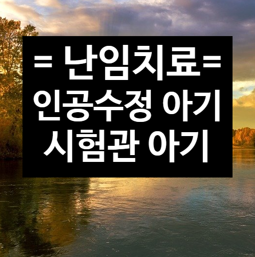  난임치료 - 인공수정과 시험관아기