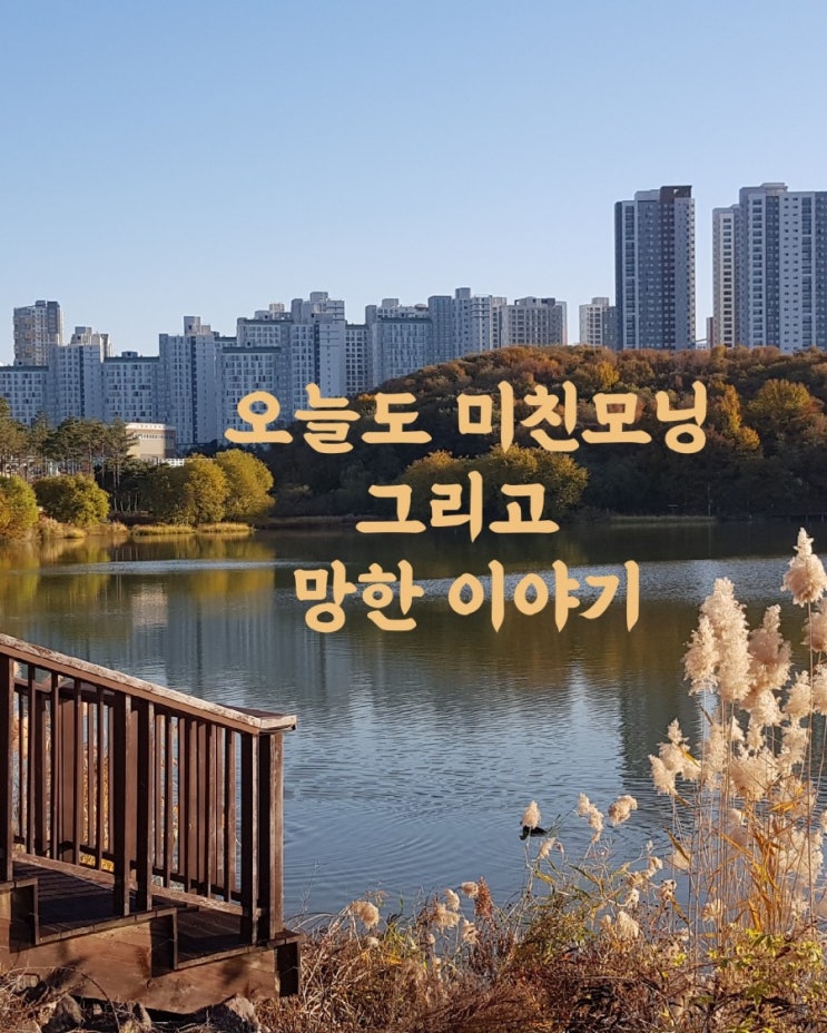  오늘도 미친모닝 그리고 망한 이야기