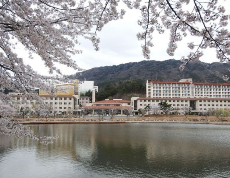  2020창원대정시등급 [창원대학교 정시수능등급/경쟁률  자료 ]