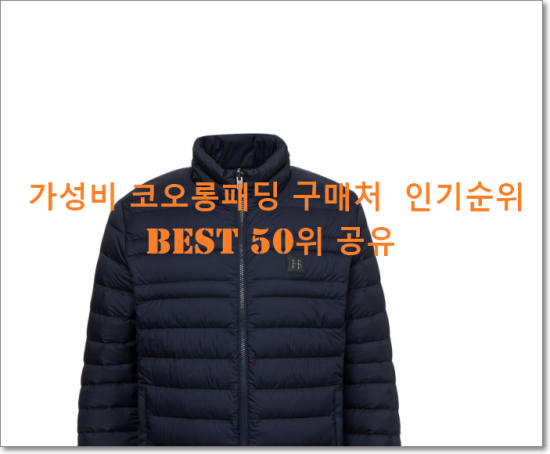   가성비 코오롱패딩 구매처  인기순위 BEST 50위 공유