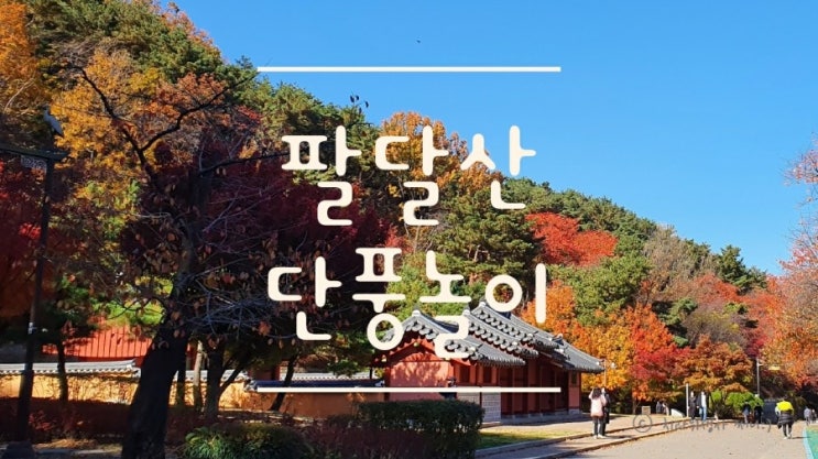  팔달산 단풍 수원화성 서장대까지