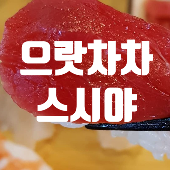  으랏차차스시야, 런치세트의 모든것, 장기동초밥, 라베니체맛집
